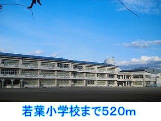 若葉小学校まで520m
