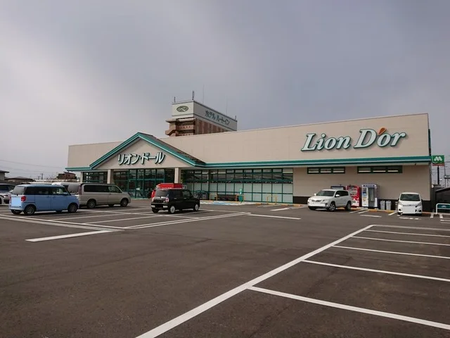 リオンドール千石店まで1100m