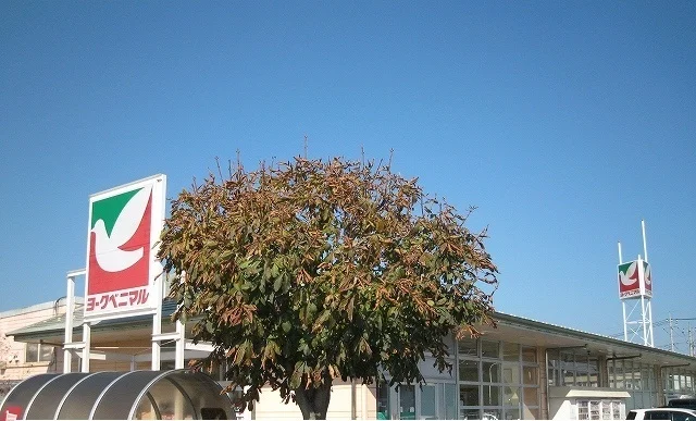 ヨークベニマル西川田店まで2100m
