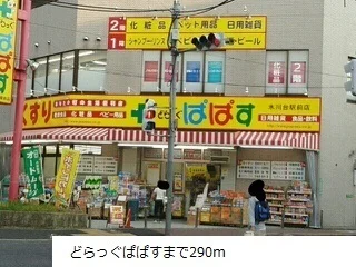 どらっぐぱぱすまで290m