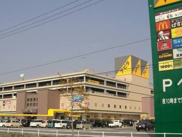 アピタ岡崎北店まで2100m