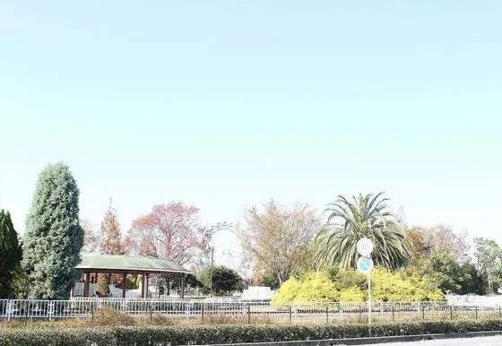 堀内公園まで5000m