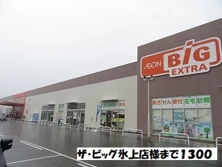 ザ・ビッグ氷上店まで1300m