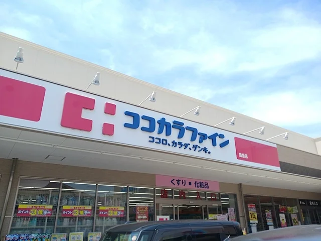 ココカラファイン島泉店様まで1343m