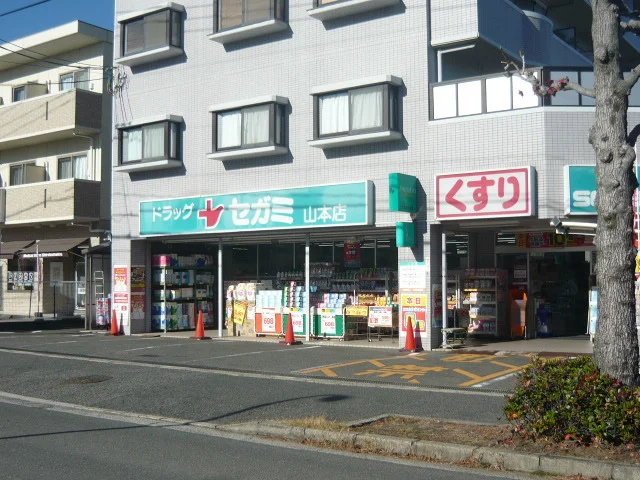 ドラッグセガミ山本店まで2000m