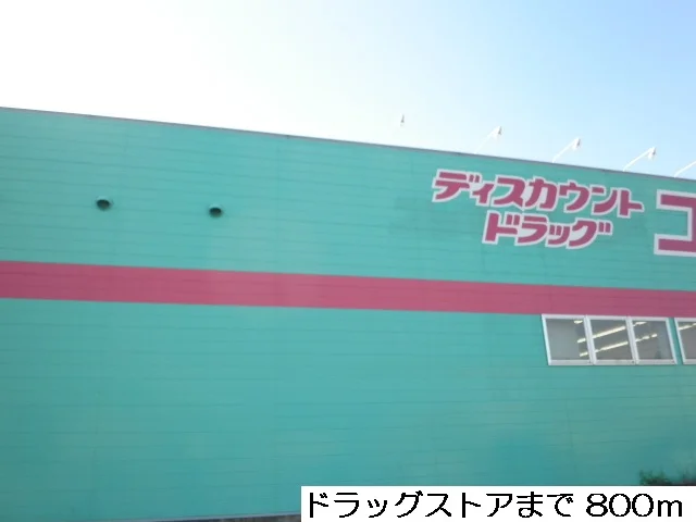 ドラッグストアまで800m