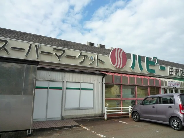 ハピー　田沢店まで1000m