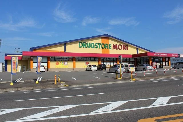 ドレッグストアモリまで1600m