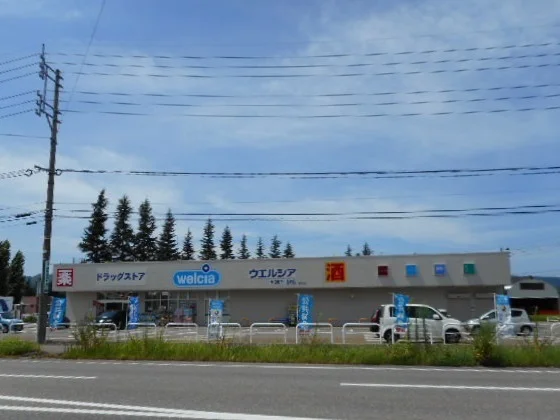 ウエルシア十日町下川原店まで990m