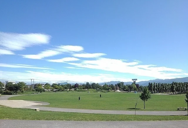 石狩ふれあいの杜公園まで230m