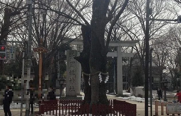 大國魂神社まで1280m