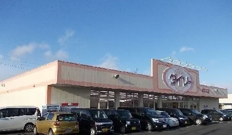 ダイソー田向店まで650m