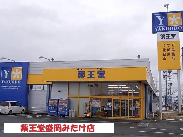 薬王堂盛岡みたけ店まで500m