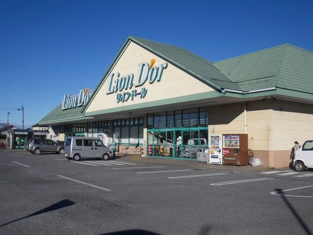 リオン・ドール高根沢東店まで520m