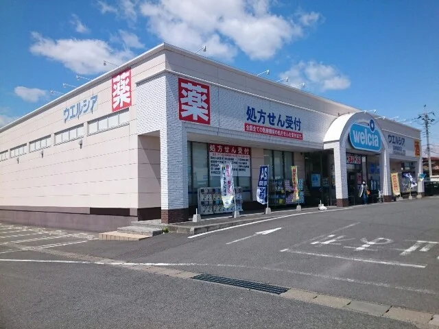 ウエルシア高崎棟高店まで800m