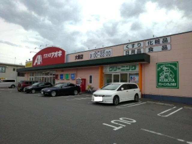 クスリのアオキ大塚店まで1100m