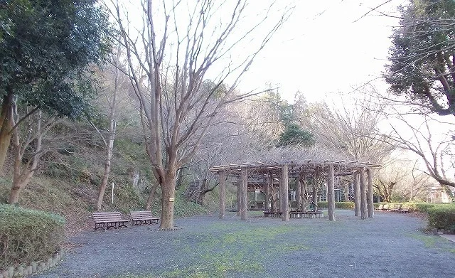 本城山公園まで600m