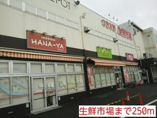 生鮮市場まで250m