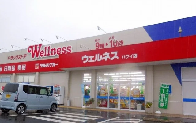 ウェルネスハワイ店まで600m