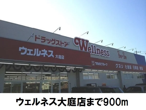 ウェルネス大庭店まで900m