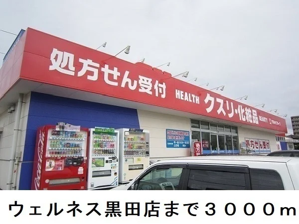 ウェルネス黒田店まで3000m