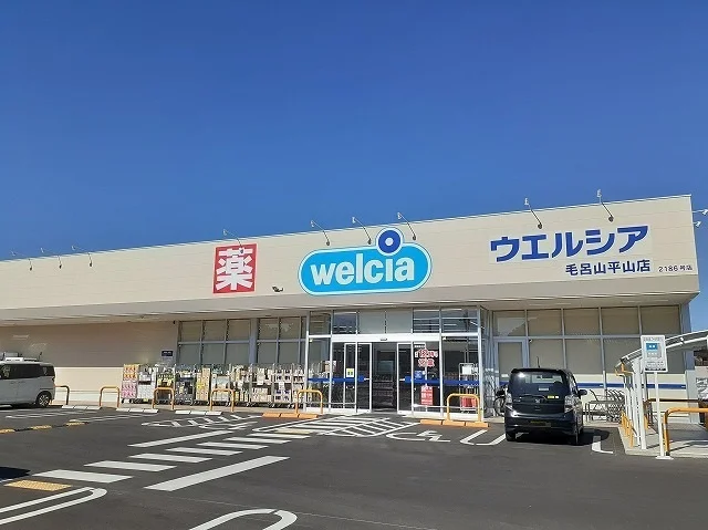 ウエルシア毛呂山平山店まで900m
