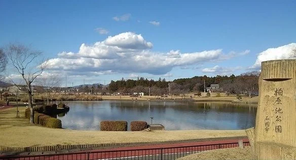 柏原池公園まで400m