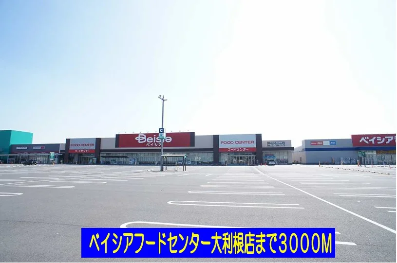 ベイシアフードセンター大利根店まで3000m