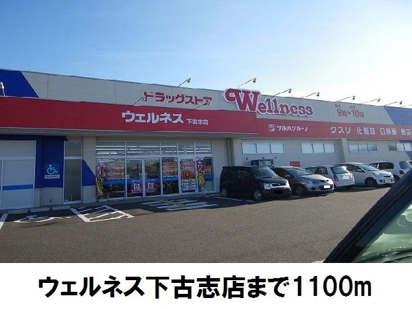ウエルネス下古志店まで1100m