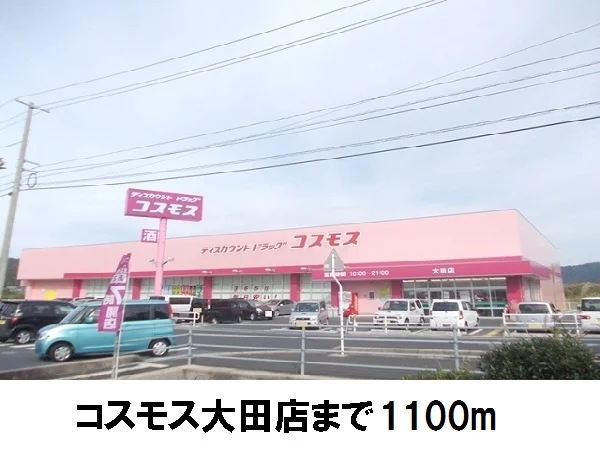 ウエルネス大田店まで1100m