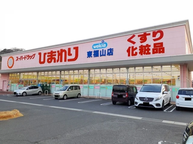 ひまわり東福山店まで1100m