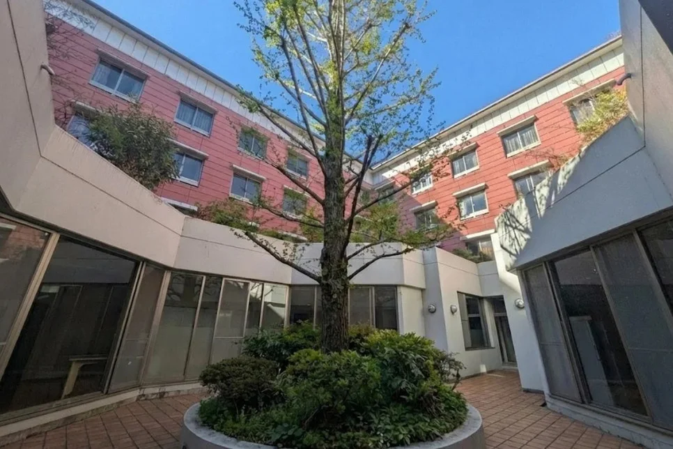 ⑥中庭ではシンボルツリーがお出迎え