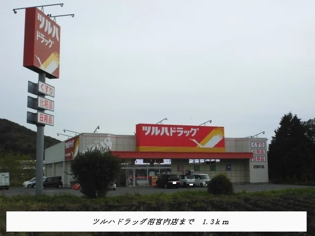 ツルハドラッグ沼宮内店まで1300m