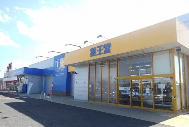 薬王堂おいらせモール店まで2200m