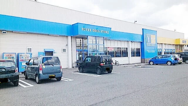 薬王堂江刺店まで1000m