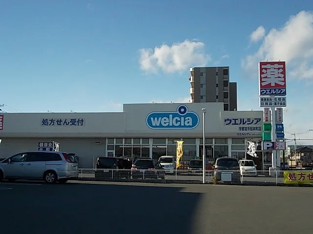 ウエルシア平松本町店まで640m