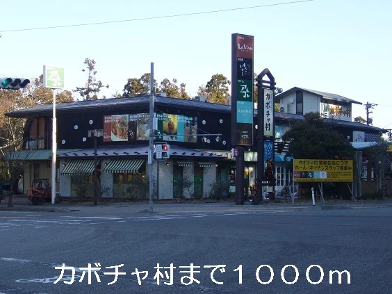 カボチャ村まで1000m