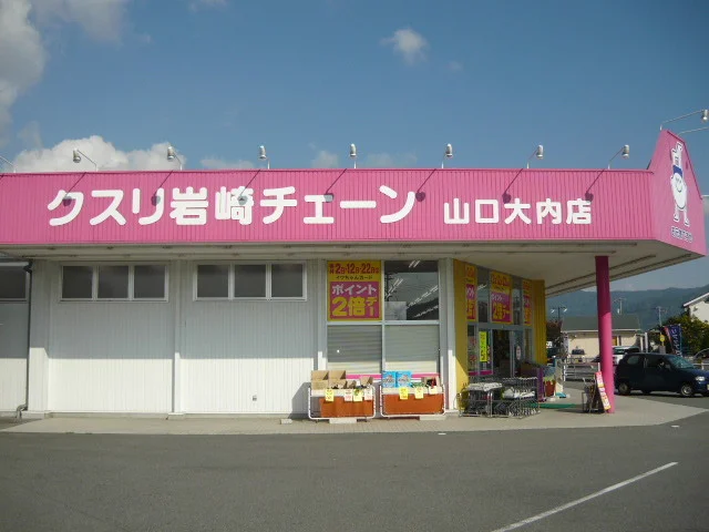 クスリ岩崎チェーンまで1300m