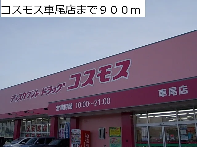 コスモス車尾店まで900m