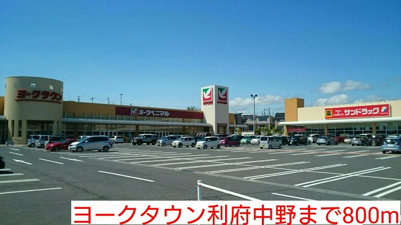ヨークタウン利府中野まで800m