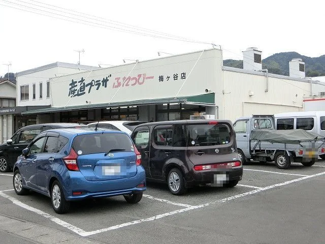 ふれっぴー梅ケ谷店まで500m