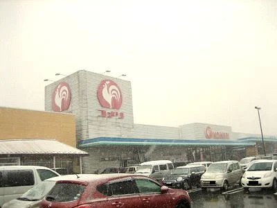 コメリハード＆グリーン豊栄店まで1300m