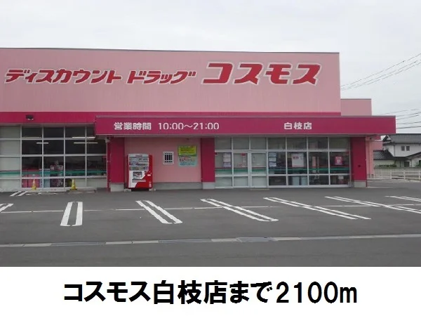 コスモス白枝店まで3500m
