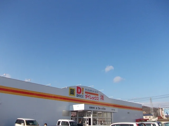 ダイレックスまで1100m