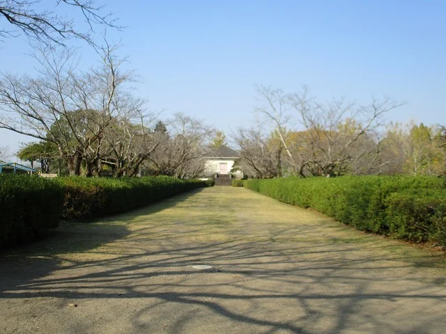 都島公園まで1100m