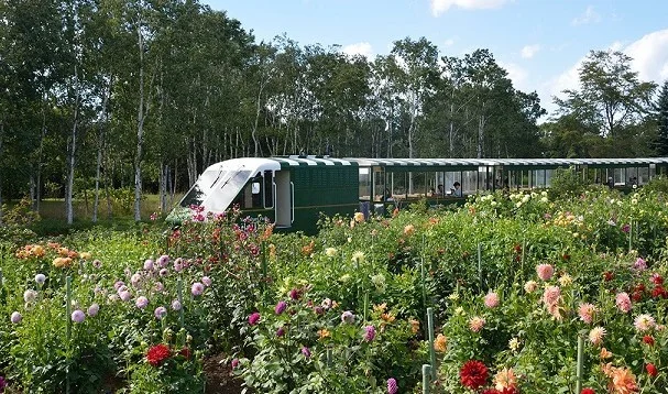 百合が原公園まで500m