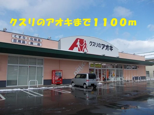 クスリのアオキまで1100m