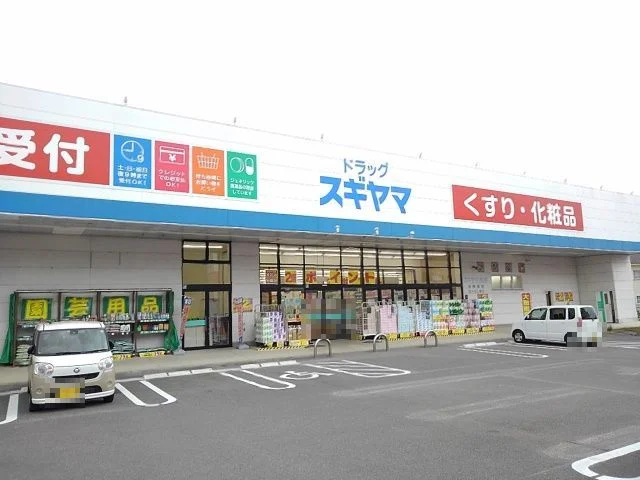 ドラッグスギヤマ笹川店まで300m