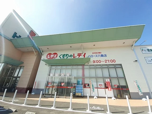 くすりのレデイ 六条店 様まで1100m