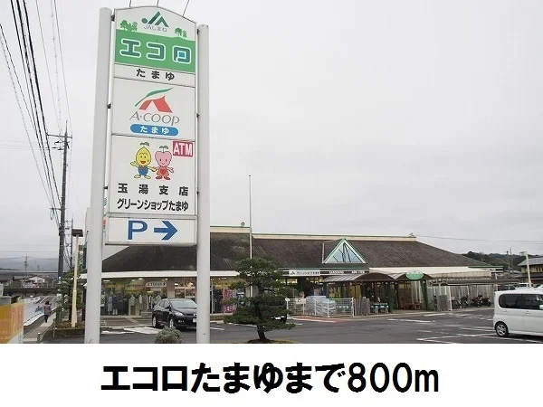エコロたまゆまで800m